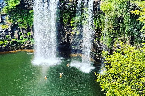 Rainforest & Waterfall Experience - Accommodation Great Ocean Road 2