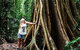 Rainforest & Waterfall Experience - thumb 3