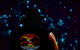 Blue Mountains Hiking Glow Worms Cave Wildlife Spotlighting Night Adventure - thumb 0