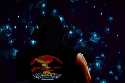 Blue Mountains Hiking Glow Worms Cave Wildlife Spotlighting Night Adventure - Accommodation Great Ocean Road 0