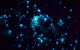 Blue Mountains Hiking Glow Worms Cave Wildlife Spotlighting Night Adventure - thumb 4