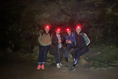 Blue Mountains Hiking Glow Worms Cave Wildlife Spotlighting Night Adventure - Accommodation Great Ocean Road 12