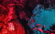 Blue Mountains Hiking Glow Worms Cave Wildlife Spotlighting Night Adventure - thumb 2