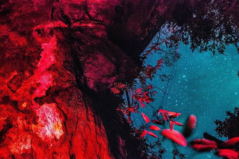 Blue Mountains Hiking Glow Worms Cave Wildlife Spotlighting Night Adventure - Accommodation Great Ocean Road 2