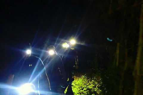 Blue Mountains Hiking Glow Worms Cave Wildlife Spotlighting Night Adventure - Accommodation Great Ocean Road 8
