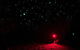 Blue Mountains Hiking Glow Worms Cave Wildlife Spotlighting Night Adventure - thumb 5
