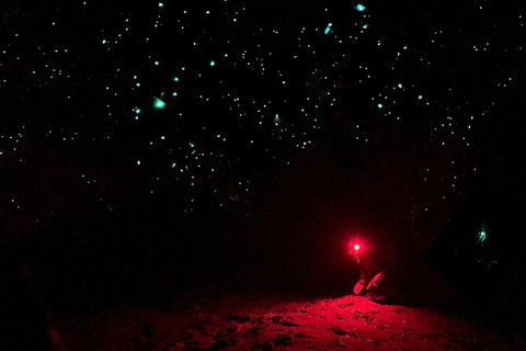 Blue Mountains Hiking Glow Worms Cave Wildlife Spotlighting Night Adventure - Accommodation Great Ocean Road 5