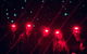 Blue Mountains Hiking Glow Worms Cave Wildlife Spotlighting Night Adventure - thumb 3