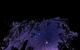 Blue Mountains Hiking Glow Worms Cave Wildlife Spotlighting Night Adventure - thumb 11