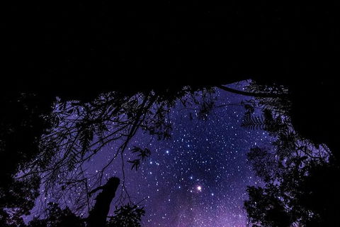 Blue Mountains Hiking Glow Worms Cave Wildlife Spotlighting Night Adventure - Accommodation Great Ocean Road 11