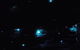 Blue Mountains Hiking Glow Worms Cave Wildlife Spotlighting Night Adventure - thumb 7