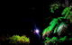 Blue Mountains Hiking Glow Worms Cave Wildlife Spotlighting Night Adventure - thumb 13