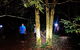 Blue Mountains Hiking Glow Worms Cave Wildlife Spotlighting Night Adventure - thumb 6