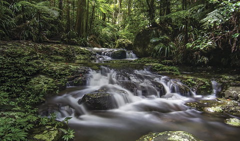 Protesters Falls Walking Track - Accommodation Great Ocean Road 0