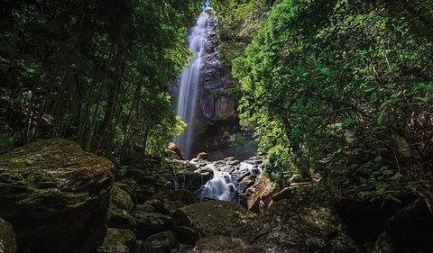 Protesters Falls Walking Track - Accommodation Great Ocean Road 1
