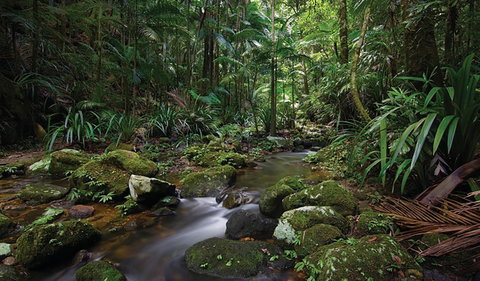 Protesters Falls Walking Track - Accommodation Great Ocean Road 2