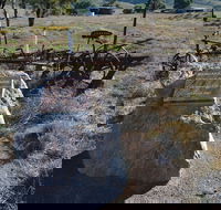 Wangaraleednie Monument  Ruins - Accommodation Great Ocean Road