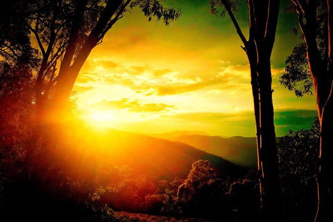 Blue Mountains Into The Wild Overnight Camping 4WD Off Road Wilderness Adventure - Accommodation Great Ocean Road 7