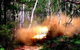 Blue Mountains Into The Wild Overnight Camping 4WD Off Road Wilderness Adventure - thumb 10