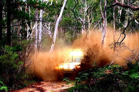 Blue Mountains Into The Wild Overnight Camping 4WD Off Road Wilderness Adventure - Accommodation Great Ocean Road 10