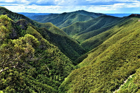 Blue Mountains Into The Wild Overnight Camping 4WD Off Road Wilderness Adventure - Accommodation Great Ocean Road 13