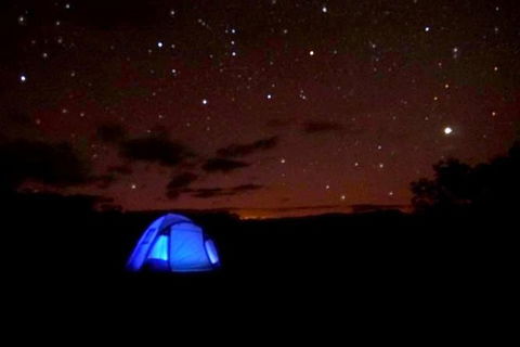 Blue Mountains Into The Wild Overnight Camping 4WD Off Road Wilderness Adventure - Accommodation Great Ocean Road 12