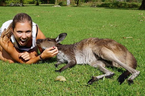 7-Day Tour In Sydney With Airport Pickup - Accommodation Great Ocean Road 2