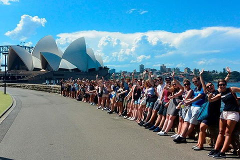 7-Day Tour In Sydney With Airport Pickup - Accommodation Great Ocean Road 16