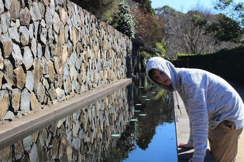 The Other Side Of The Blue Mountains - Accommodation Great Ocean Road 8