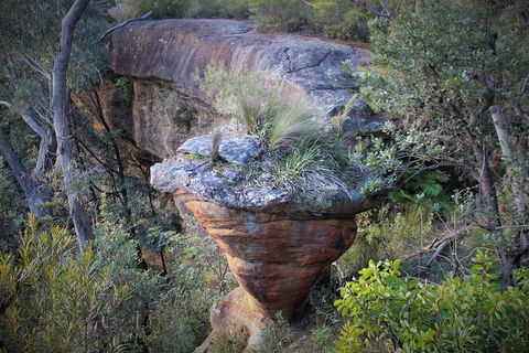 The Other Side Of The Blue Mountains - Accommodation Great Ocean Road 4