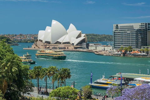 Private Tour Of Sydney - Accommodation Great Ocean Road 4