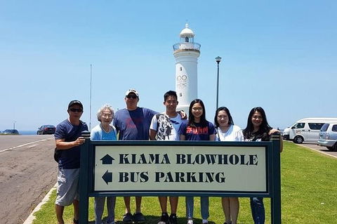 1Day Sydney Private Car Charter With Driver - Accommodation Great Ocean Road 1
