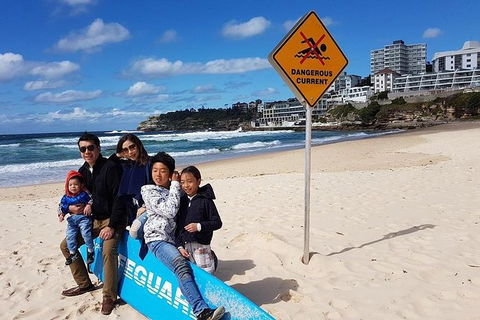 1Day Sydney Private Car Charter With Driver - Accommodation Great Ocean Road 3