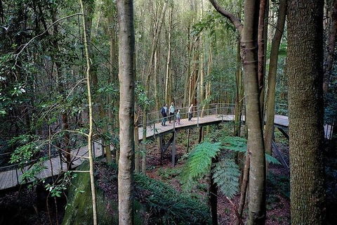 All-Inclusive Blue Mountains Tour In A Luxury Mercedes Sprinter - Accommodation Great Ocean Road 13