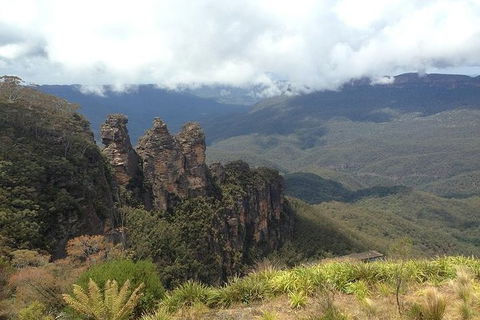 All-Inclusive Blue Mountains Tour In A Luxury Mercedes Sprinter - Accommodation Great Ocean Road 3