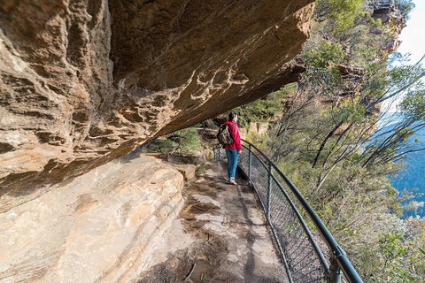 Blue Mountains Highlights & Wildlife Park - Accommodation Great Ocean Road 0