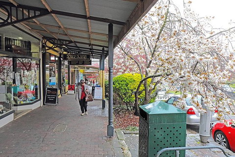 Blue Mountains Highlights & Wildlife Park - Accommodation Great Ocean Road 2