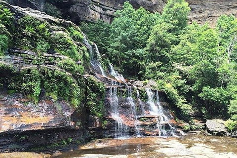 Blue Mountains Highlights & Wildlife Park - Accommodation Great Ocean Road 8
