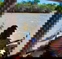 Jumping Crocs  Nature Adventure Cruise from Darwin - Accommodation Great Ocean Road