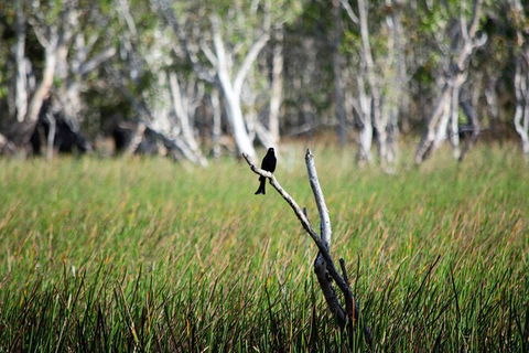 ETHICAL ADVENTURES - Dry Season Litchfield Region, Max 10 Guests - Accommodation Great Ocean Road 2