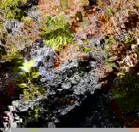 Ethical Adventures - Pure Litchfield - Accommodation Great Ocean Road