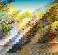 Litchfield National Park Waterfalls Day Trip From Darwin Including Termite Mounds and Lunch - Accommodation Great Ocean Road