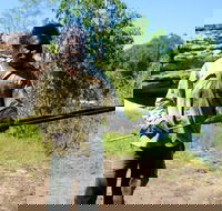 Kakadu  Arnhem Land tour Camping tour - Accommodation Great Ocean Road