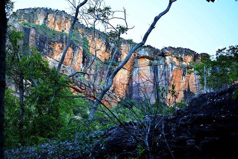 Ethical Adventures - Kakadu 2 Day- Max 10 Guests - Accommodation Great Ocean Road 6