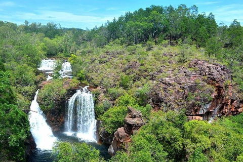 Darwin: Premium Litchfield Regional 11 Hours Tour - Accommodation Great Ocean Road 5