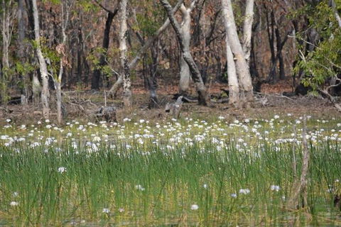 Darwin: Premium Litchfield Regional 11 Hours Tour - Accommodation Great Ocean Road 4