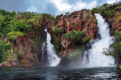 Darwin: Premium Litchfield Regional 11 Hours Tour - Accommodation Great Ocean Road 0