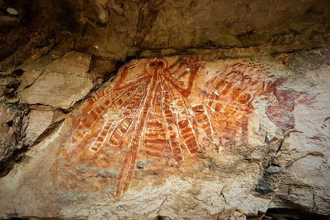 Arnhem Land Injalak Hill Full-Day Tour From Darwin - Accommodation Great Ocean Road 1