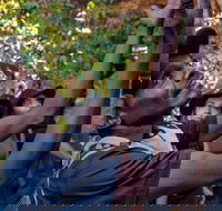 Arnhem Land Injalak Hill Full-Day Tour from Darwin - Accommodation Great Ocean Road