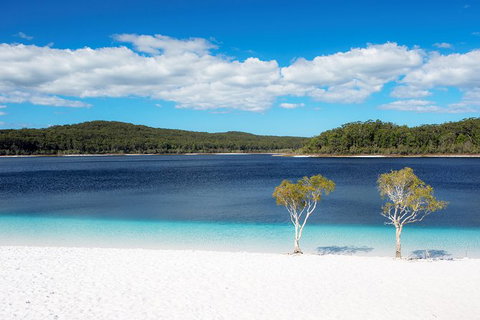 All-Inclusive Fraser Island Day Tour - Accommodation Great Ocean Road 2